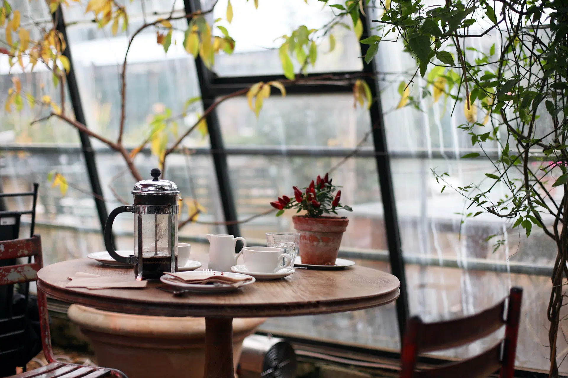 4 Tips to Remodel a Room as a Conservatory